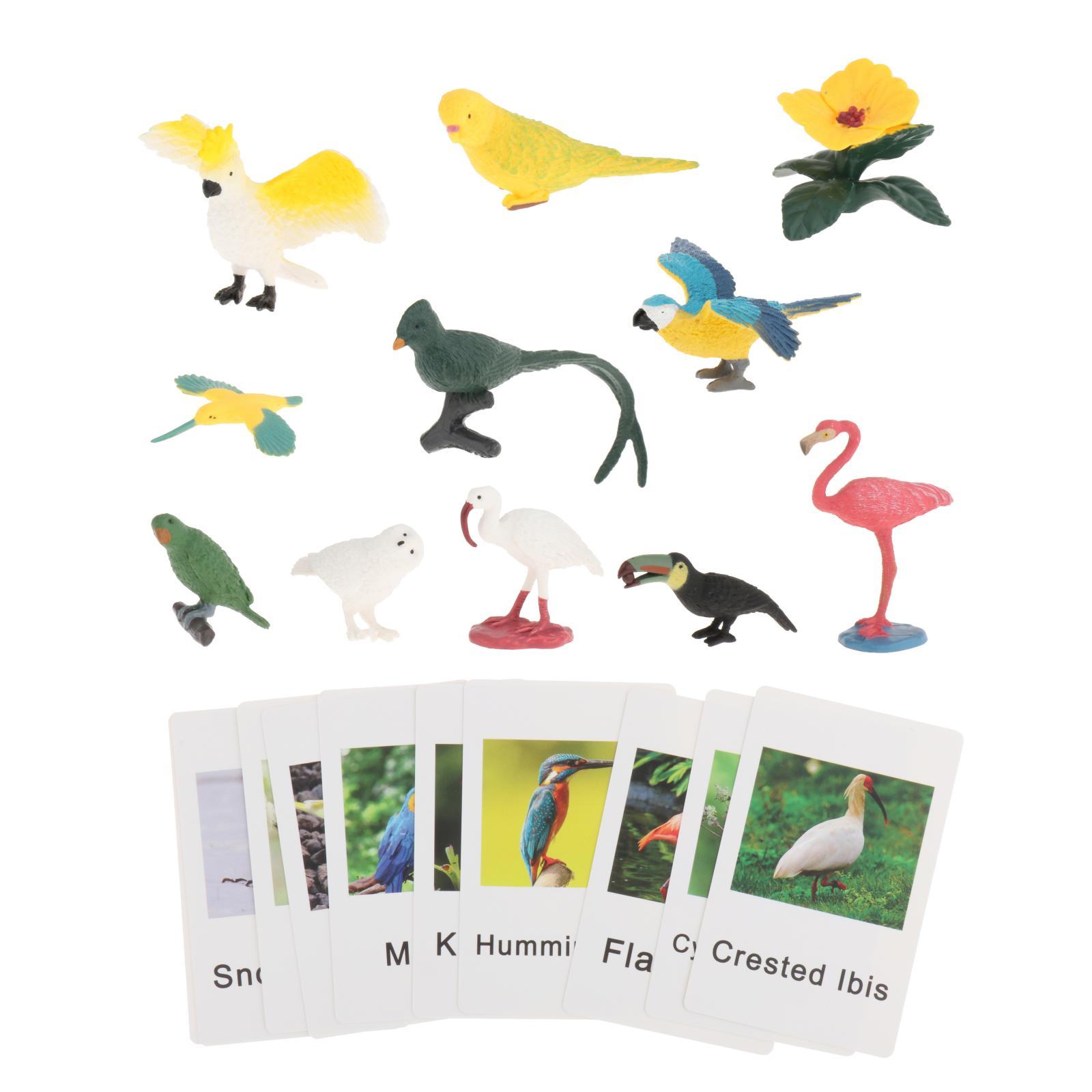 Figur Hewan Montessori dengan  - Science Nature ulasan dan harga