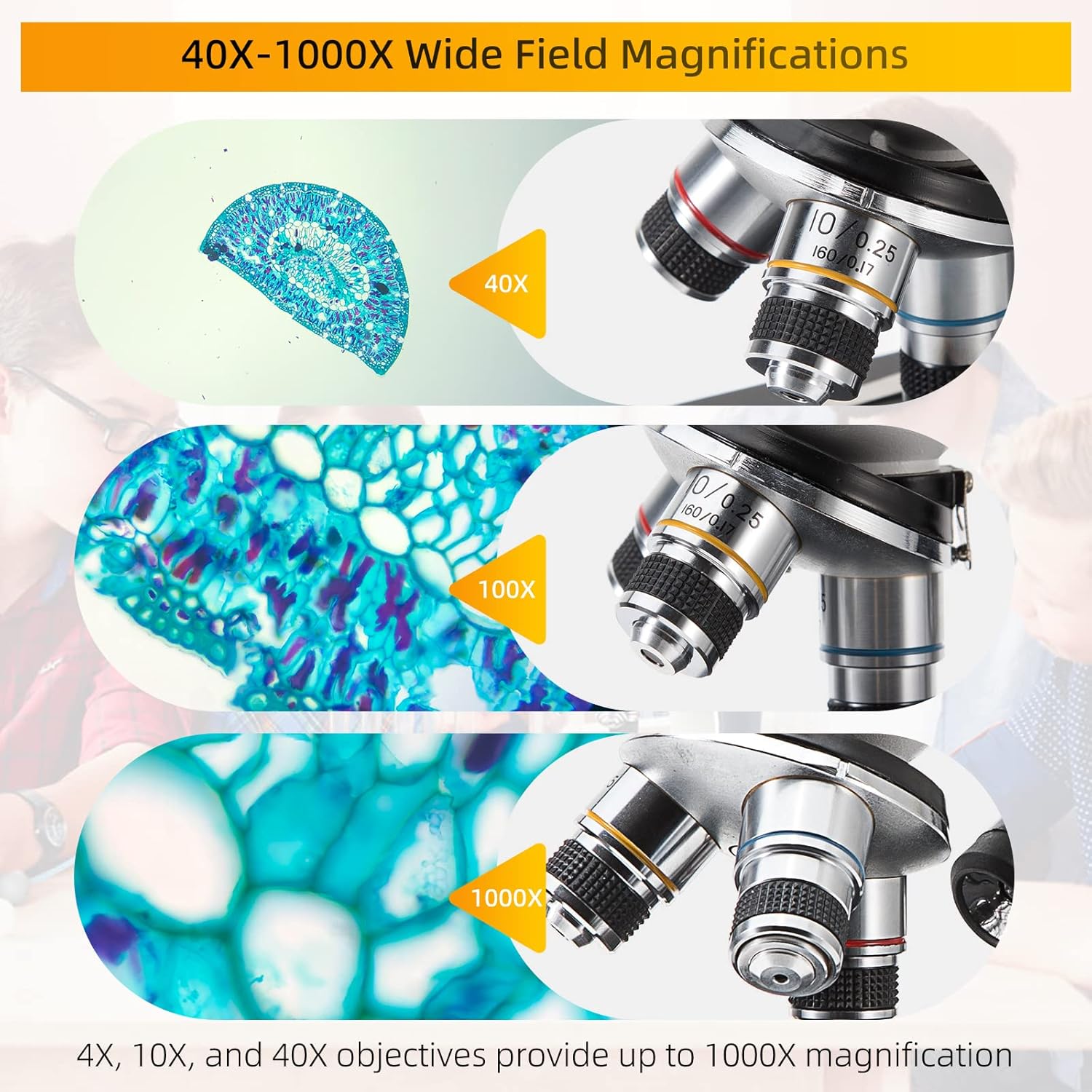 Mikroskop untuk Dewasa Anak-an - Microscope Compound 40X ulasan dan harga