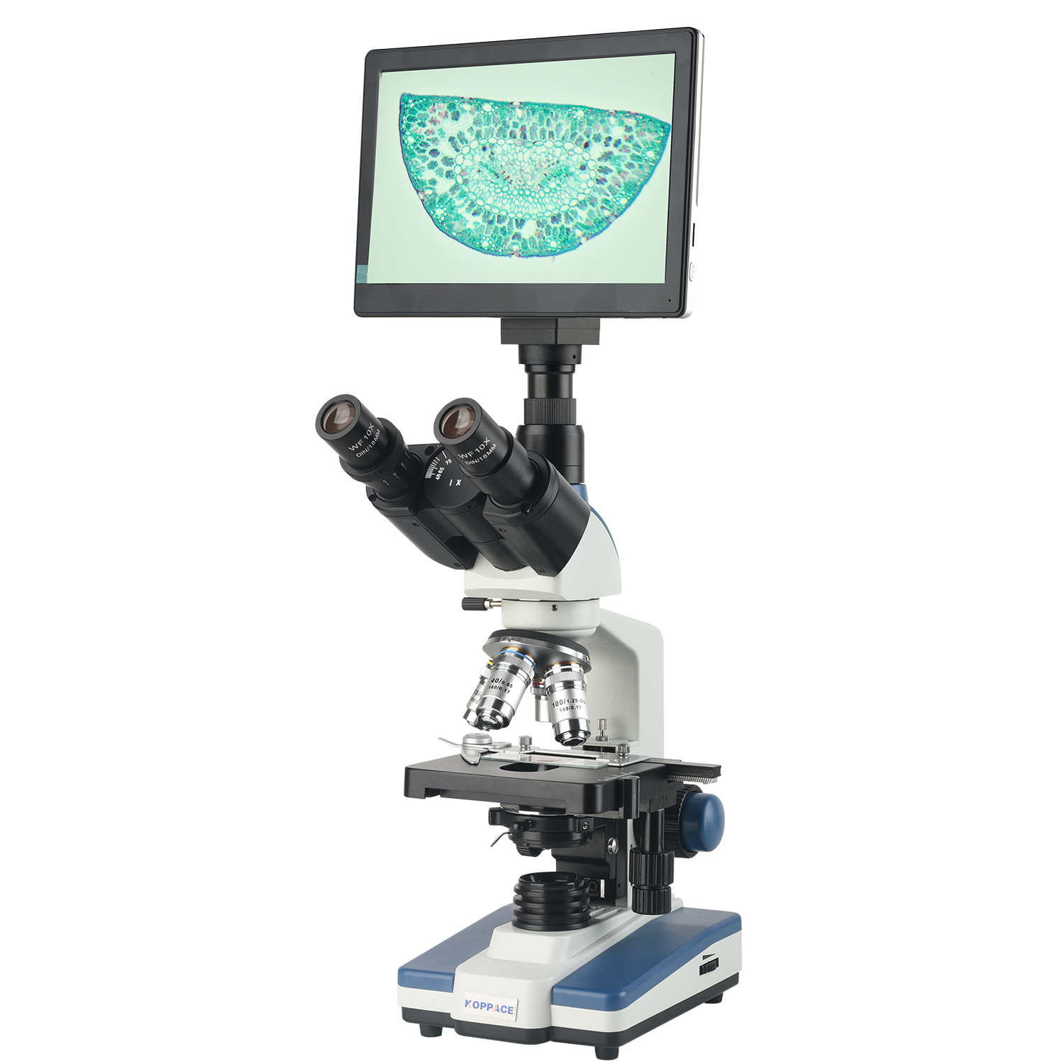 Mikroskop Laboratorium Senyawa - Microscope Compound 40X ulasan dan harga