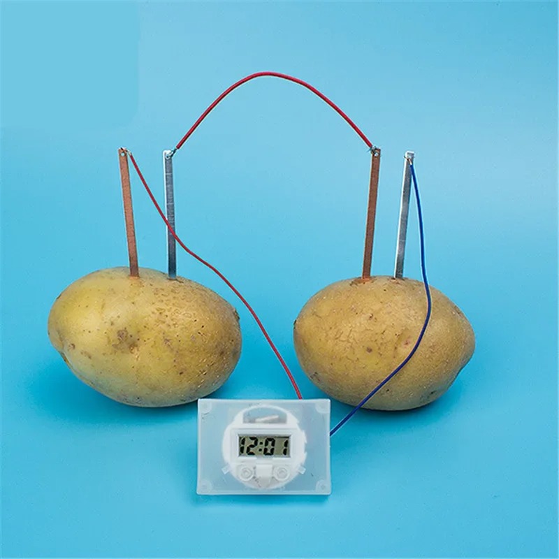 Mainan Montessori Baru untuk A - Science Nature ulasan dan harga
