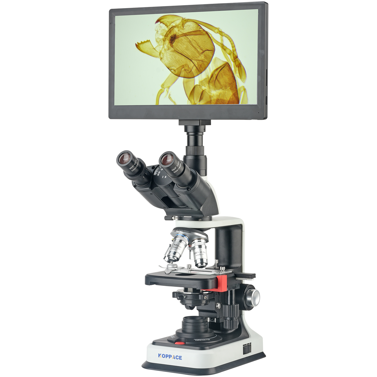 Mikroskop Laboratorium Elektro - Microscope Compound 40X ulasan dan harga