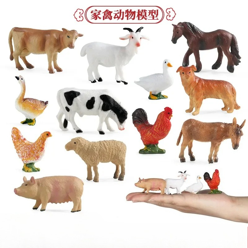 Alat Pengajaran Pendidikan Mod - Science Toys ulasan dan harga